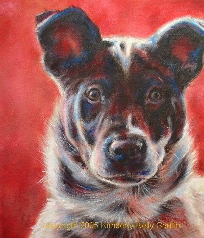 Blue Merle on Red