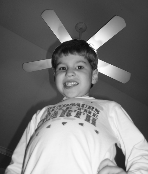 Silly Fan Shot