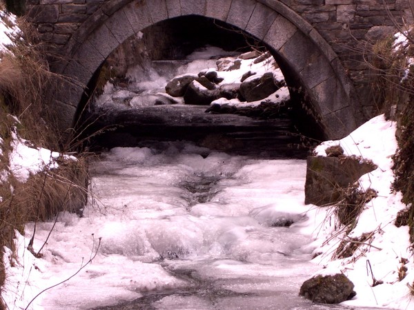 Frozen movement