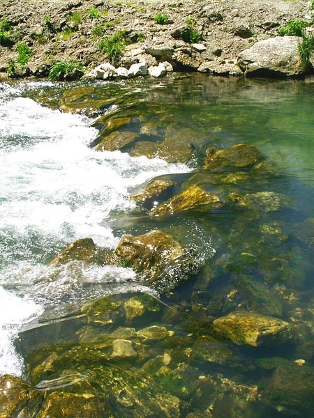 Roaring River 