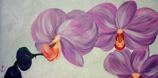 Big lilac Flowers