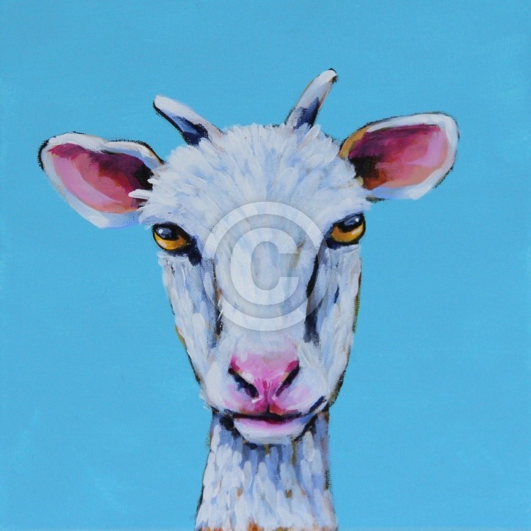 Silly Goat