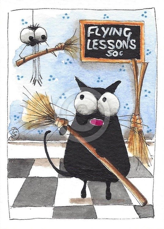 Flying lessons