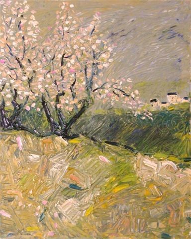 spring