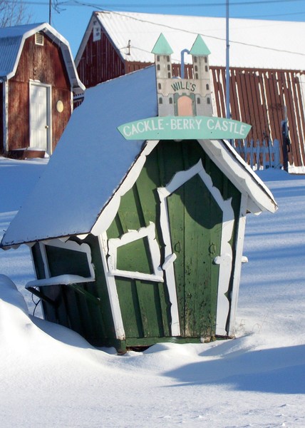 Little Green House In Winter