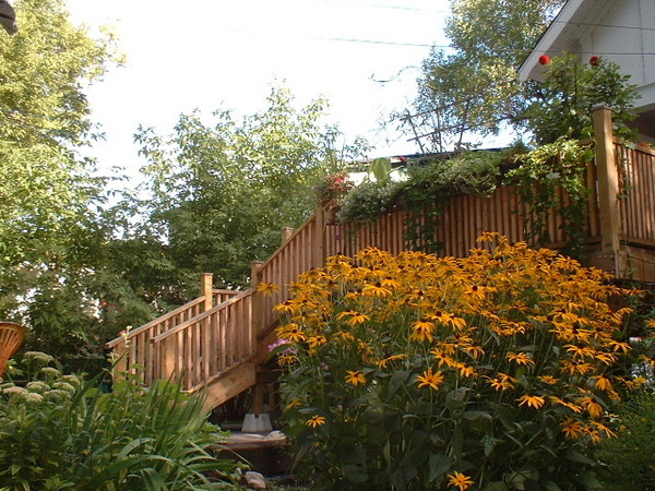 Flower Box