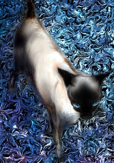 Walking on silk...