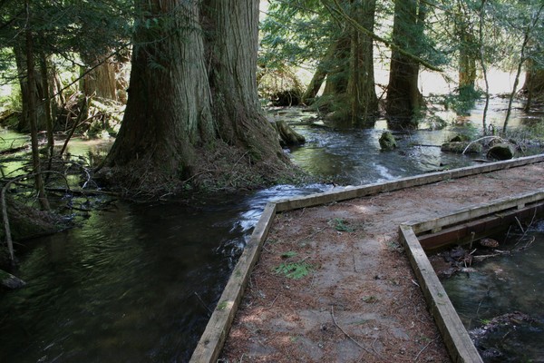 The Other Trail Back...
