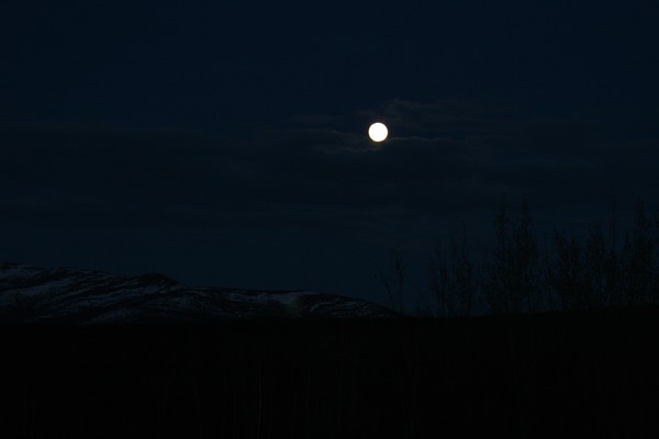 Full Moon Magic