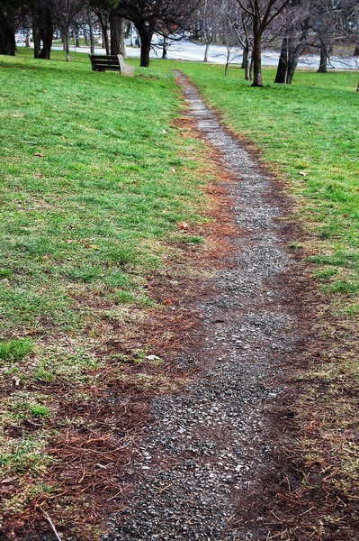 Road for 2010 Fairmount Park