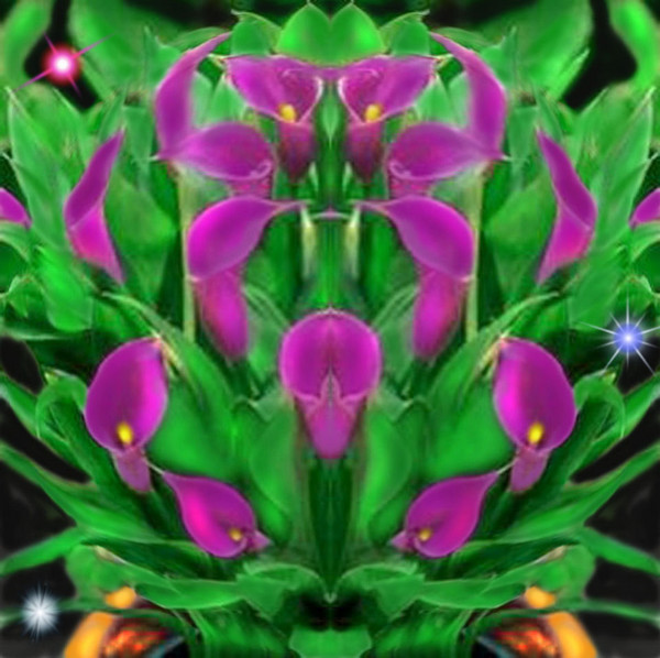 CALLA LILLIES AMETHYST