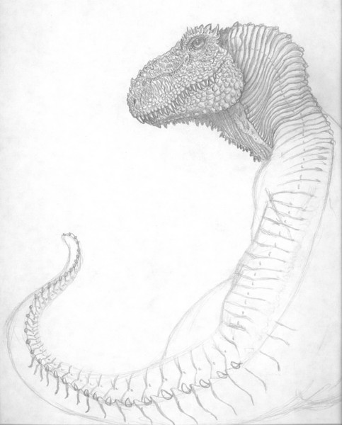 Sue