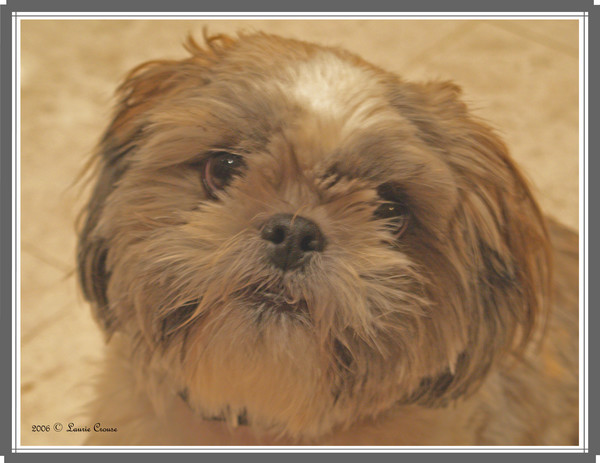 MUGSY
