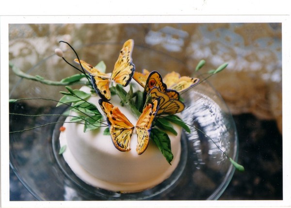 Orange Butterflies
