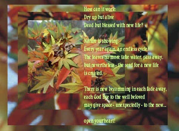 Autumn-thoughts