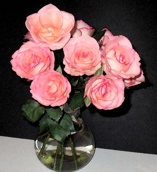 watercolour roses