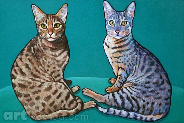 Quetsy and Schrody; Awesome Occicats in San Diego