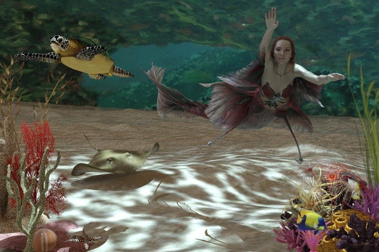 mermaid&turtle