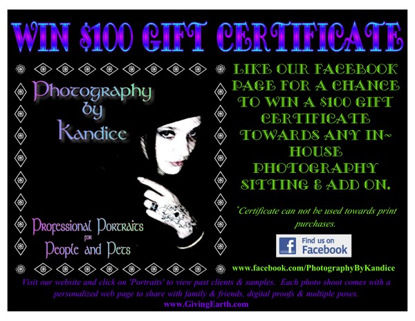 Contest - $100 Gift Certificate Graphic