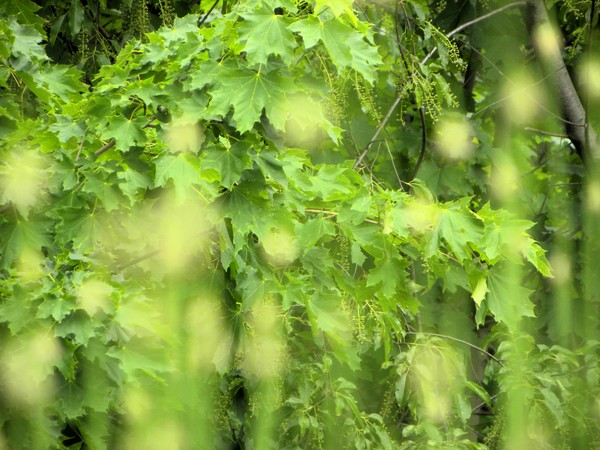 My photo blog_6 image 6.18