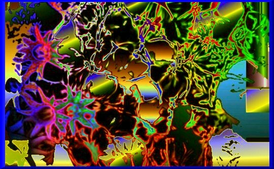flower 519