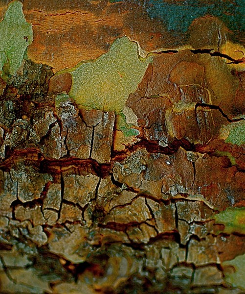 Jeweled Abstract