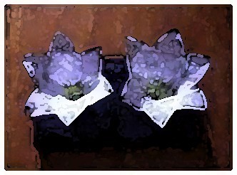 TWIN TREASURES