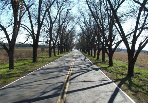 THE ROAD HOME