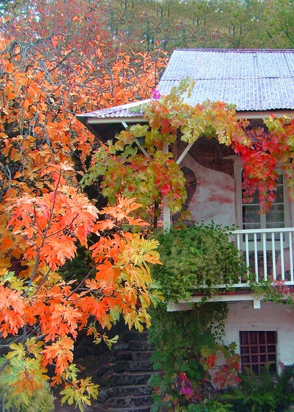 Boeger House II