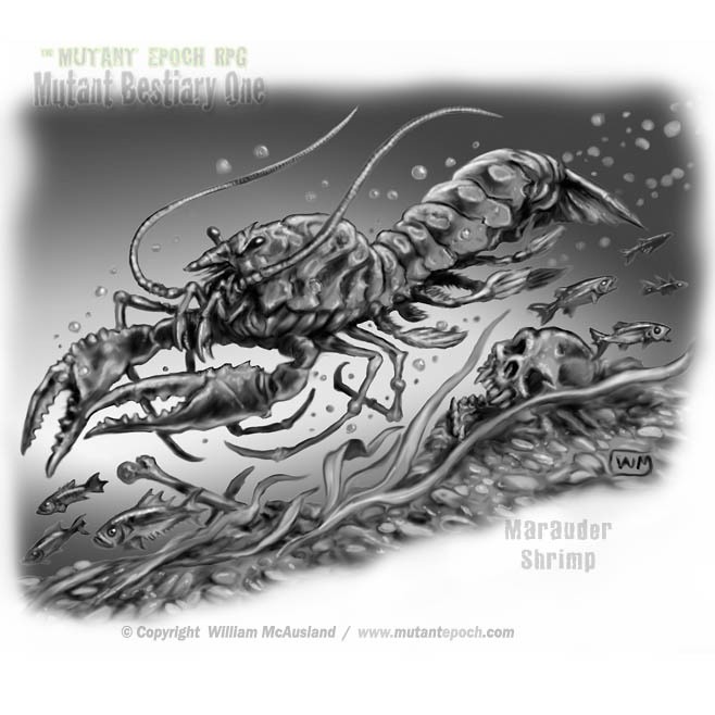 Marauder Shrimp