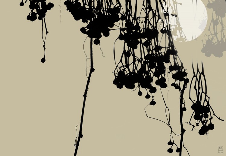 wild grapes. winter