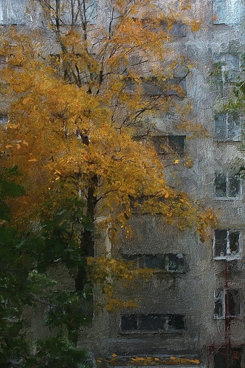 yellow meets green