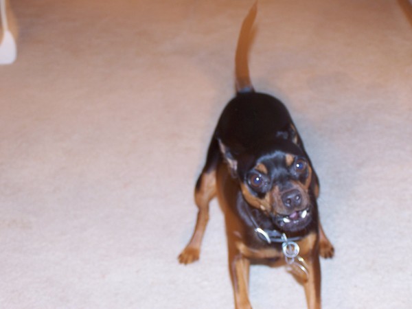 Zoe
