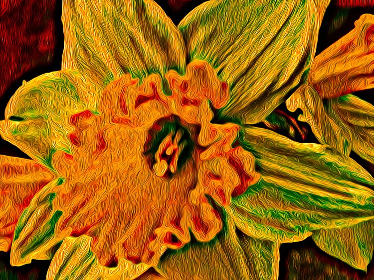 Daffodil love