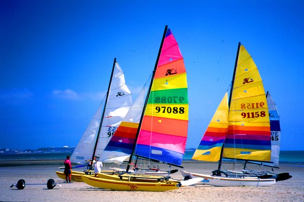 HOBIE CATS IN JERSEY