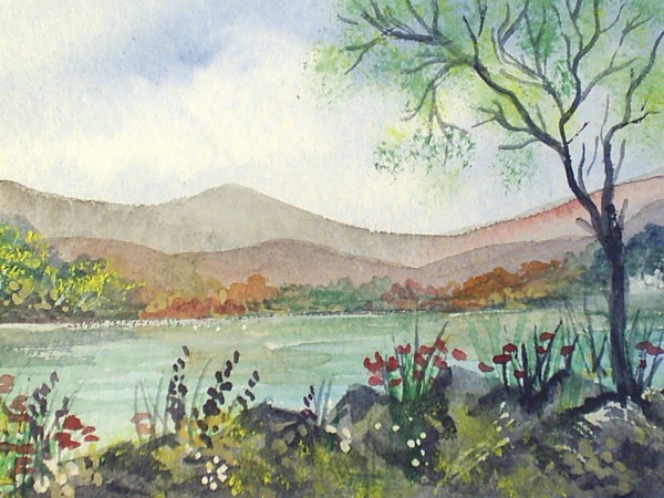 country landscape