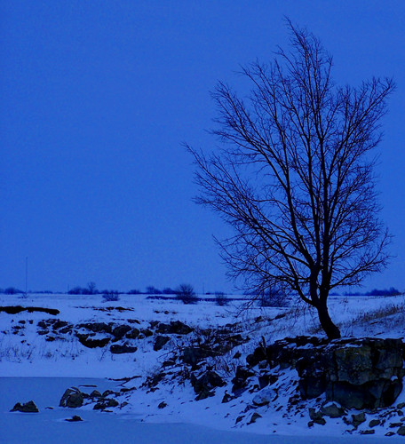 a winters sky