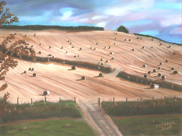 Harvest Time in Scotland