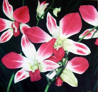 orchids2