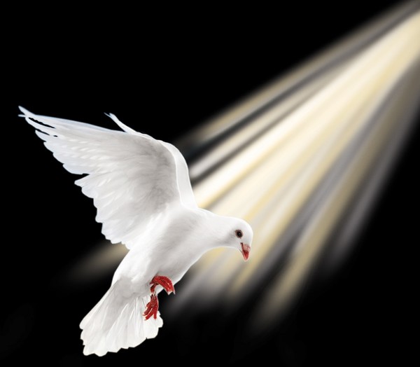 Freedom
