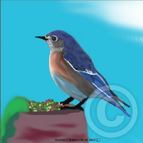 Bird