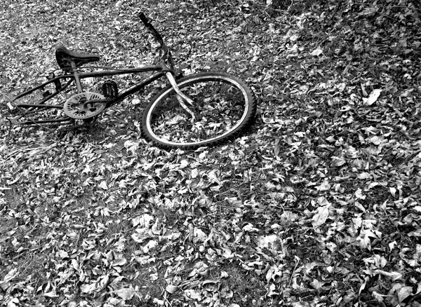 Forgotten Youth
