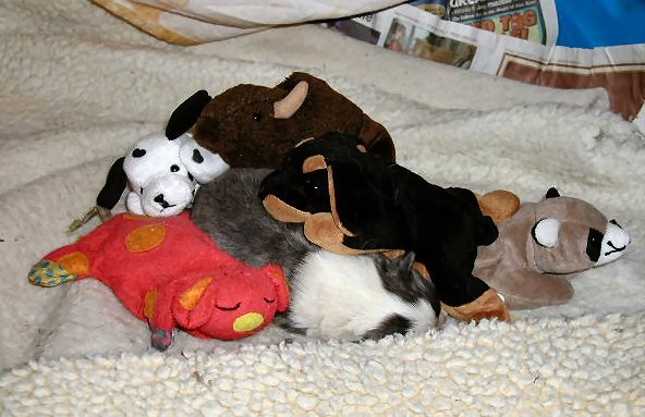 Which One Doesn't Belong?