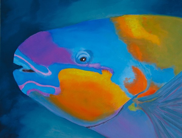 Parrotfish Portrait
