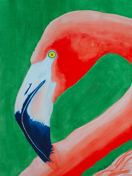 Flamingo1