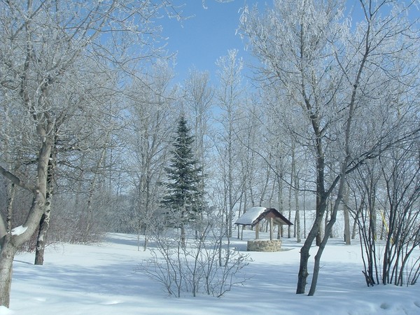 Pretty winter scene