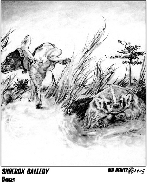 SHOEBOX GALLERY: BADGER