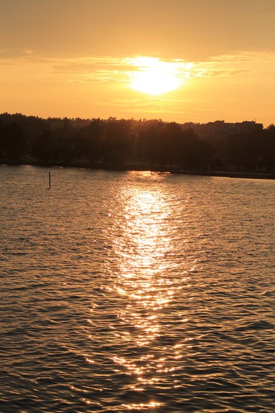 IMG 2011