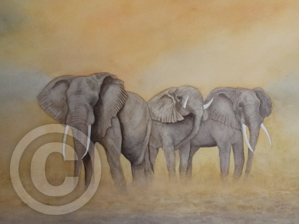 Elephant Country
