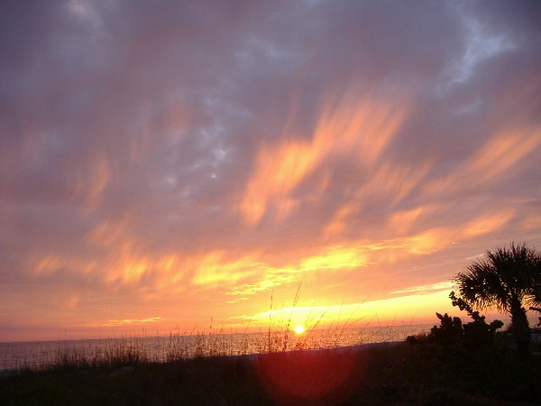 fire in the sky